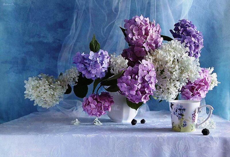 Hydrangea Bouquet in Vase — Blue, Serene