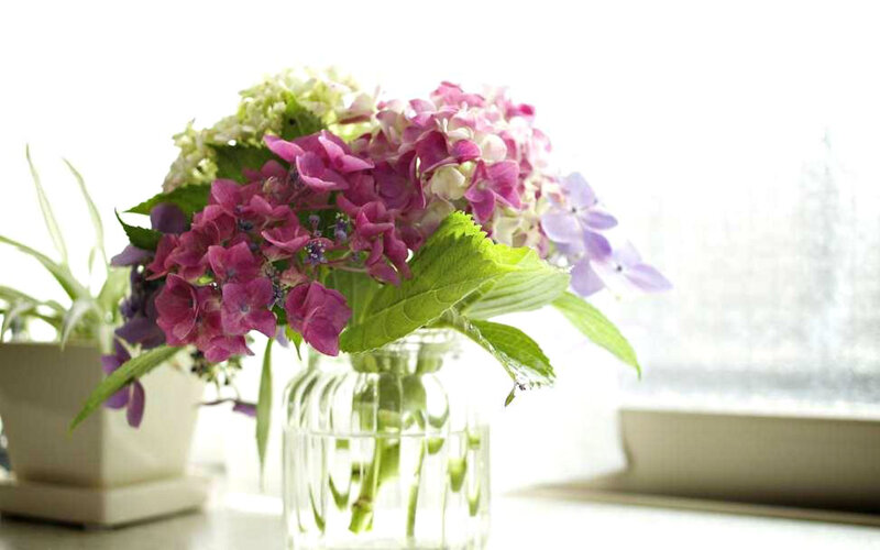 Hydrangea Bouquet in Vase — Purple, Serene