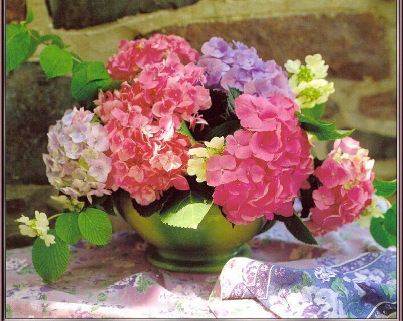 Hydrangea Bouquet in Vase