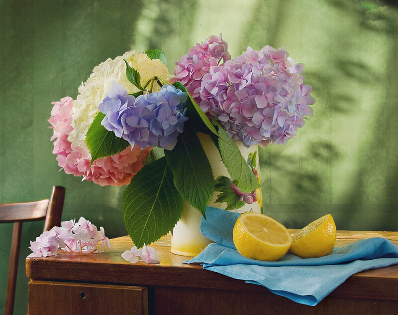 Hydrangea Bouquet on Table
