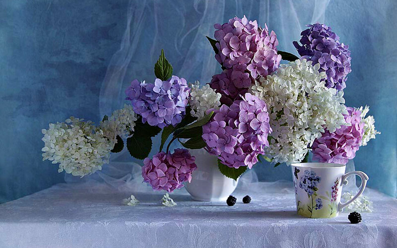 Hydrangea Bouquet