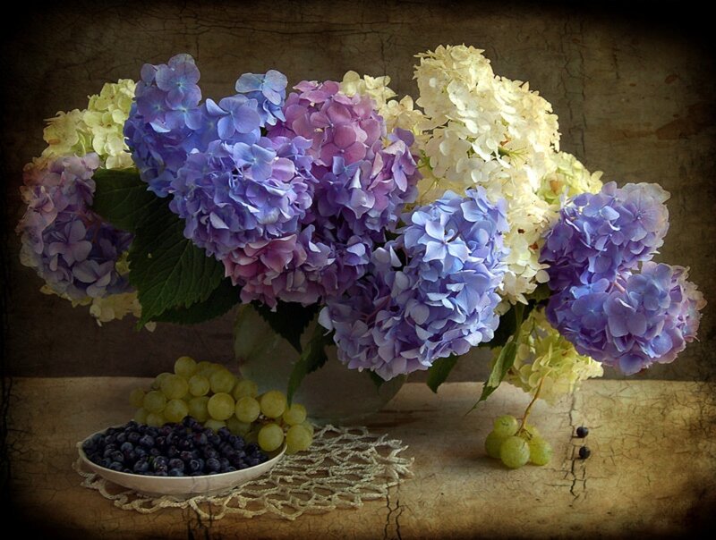 Hydrangea Bouquet with Fruit