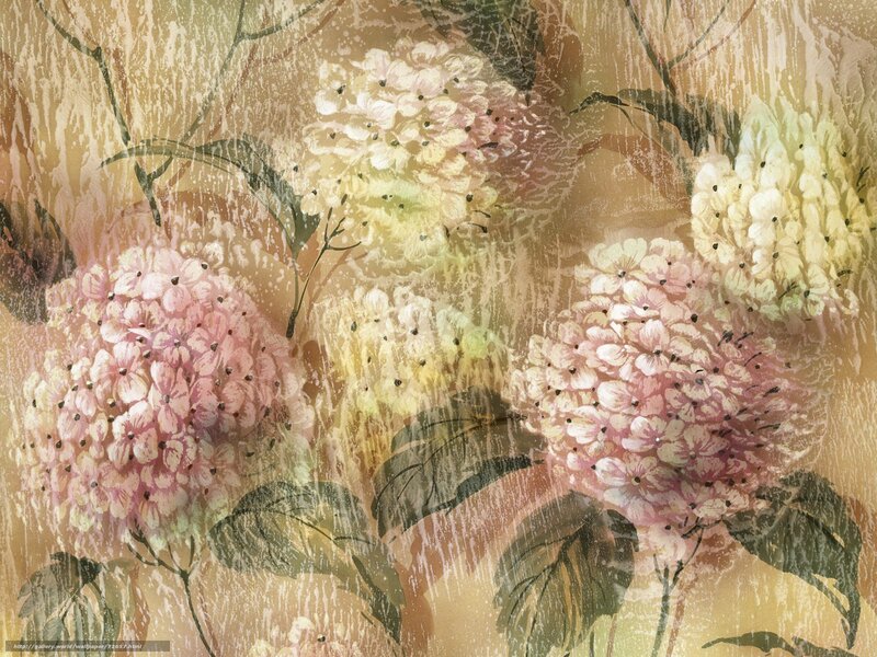 hydrangea floral wallpaper