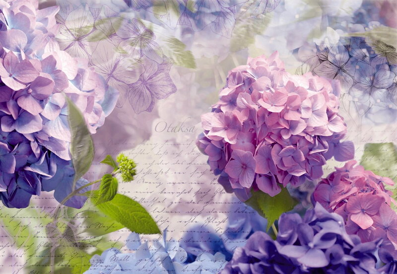 Hydrangea Flower Bouquet — Purple