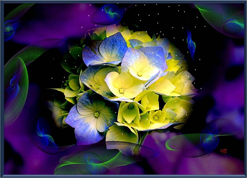 Hydrangea Flower Cluster — Purple, Dreamy, Night