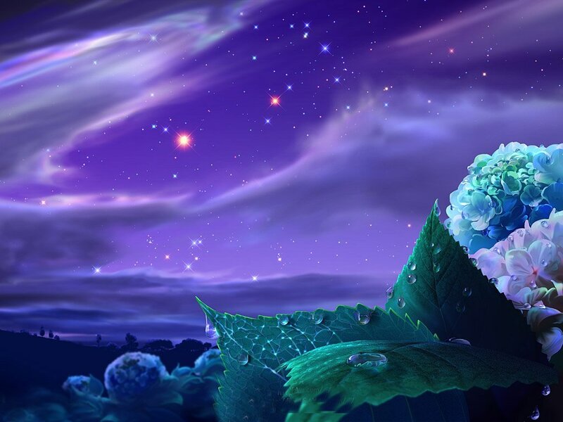 Hydrangea Flowers at Night — Purple, Serene, Digital Art, Leaves, Stars, Green