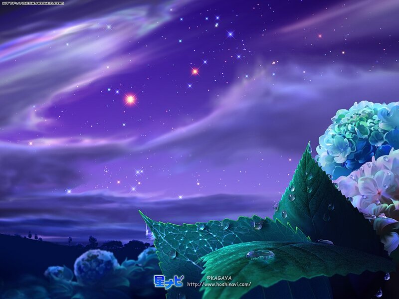 Hydrangea Flowers at Night — Purple, Serene, Digital Art, Leaves