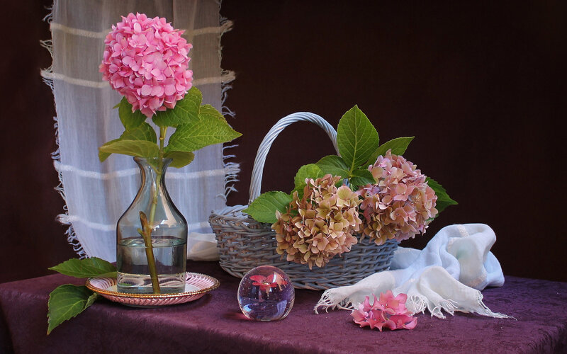 Hydrangea Flowers in Basket — Purple, Serene
