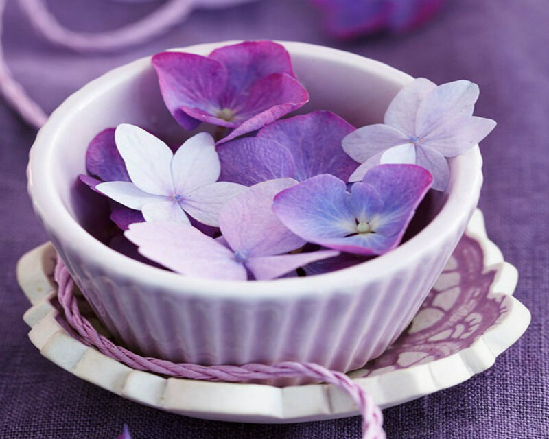 Hydrangea Flowers in Bowl