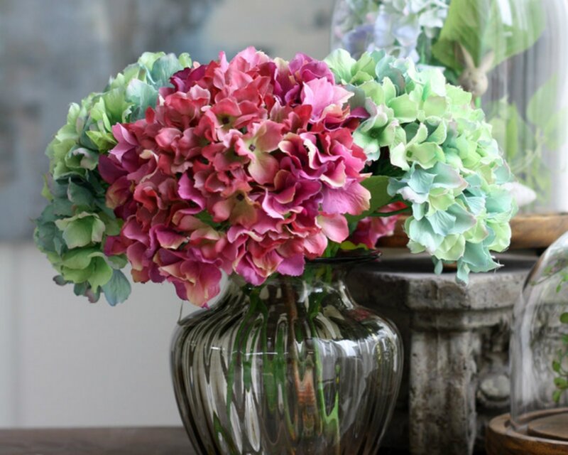 Hydrangea Flowers in Vase — Pink, Calm