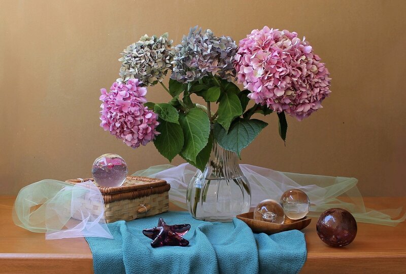 Hydrangea Flowers in Vase — Pink
