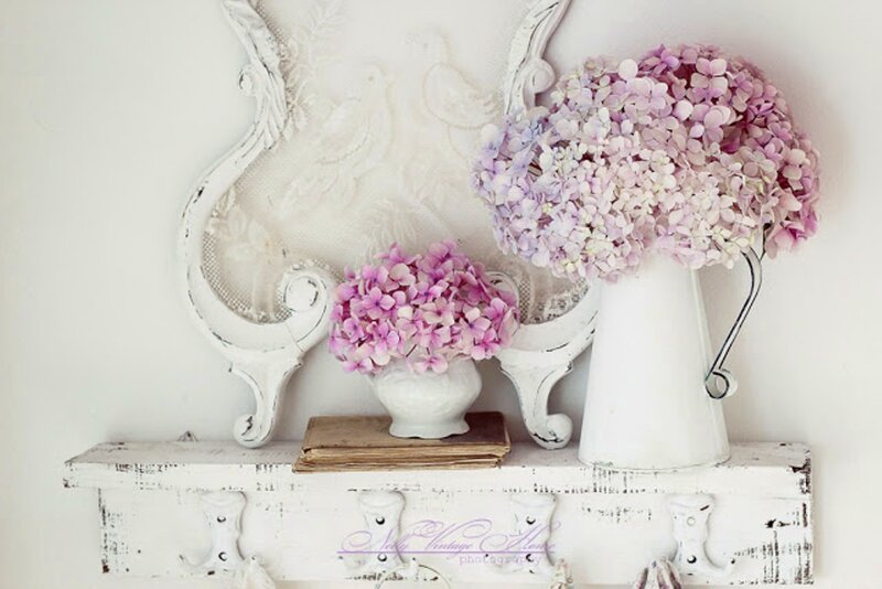 Hydrangea Flowers on Shelf