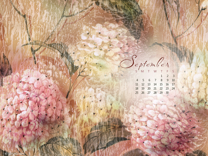 Hydrangea Flowers — Pink