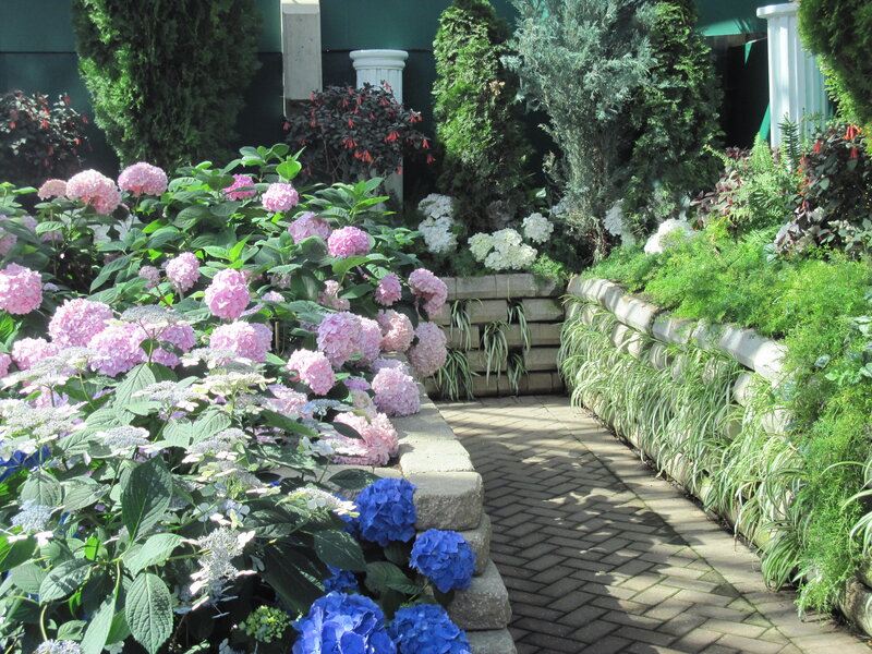 Hydrangea Garden Path — Pink