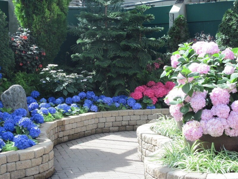 Hydrangea Garden
