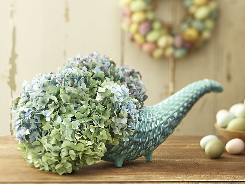 Hydrangea in Cornucopia