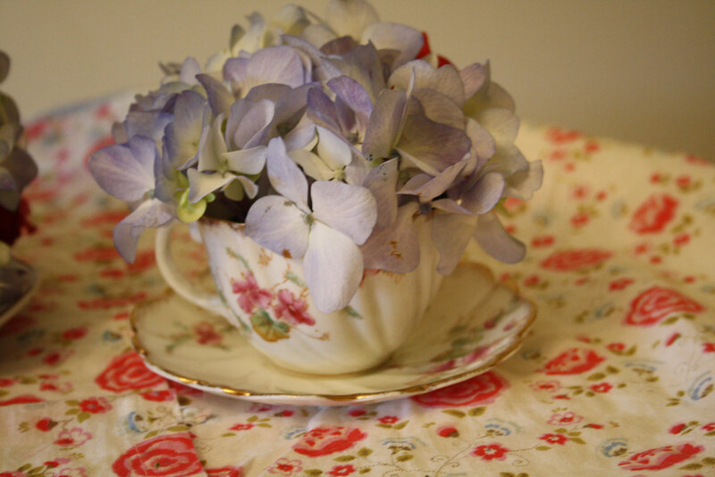 Hydrangea in Teacup