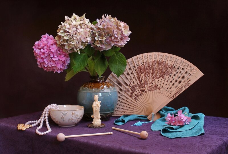 Hydrangea in Vase