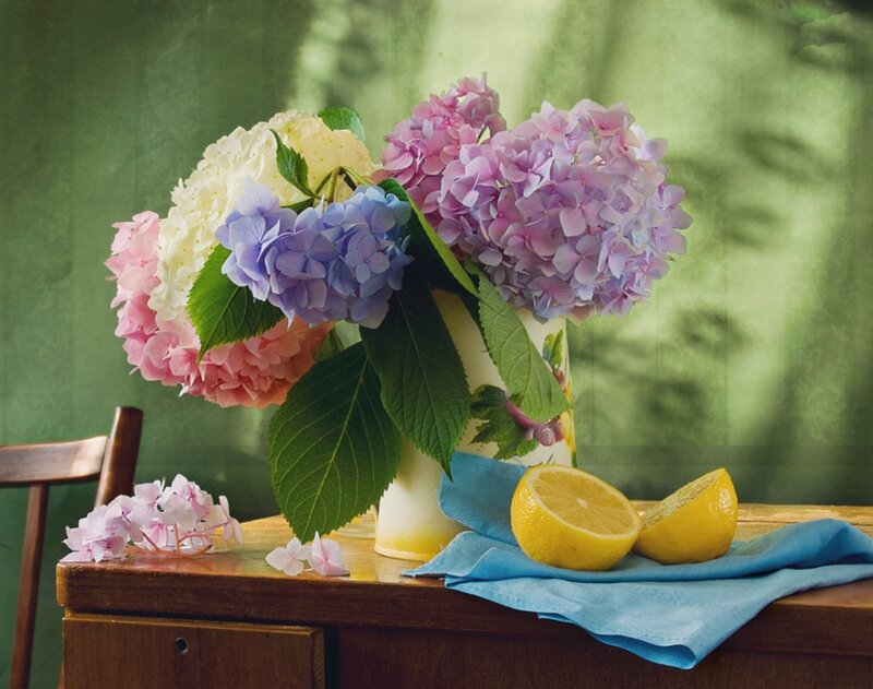 Hydrangeas and Lemons — Green