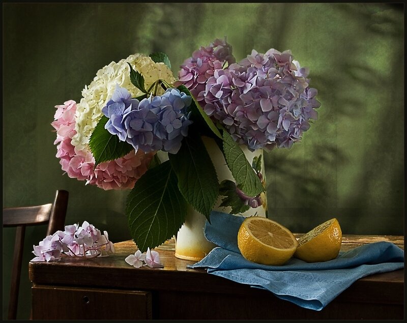 Hydrangeas and Lemons
