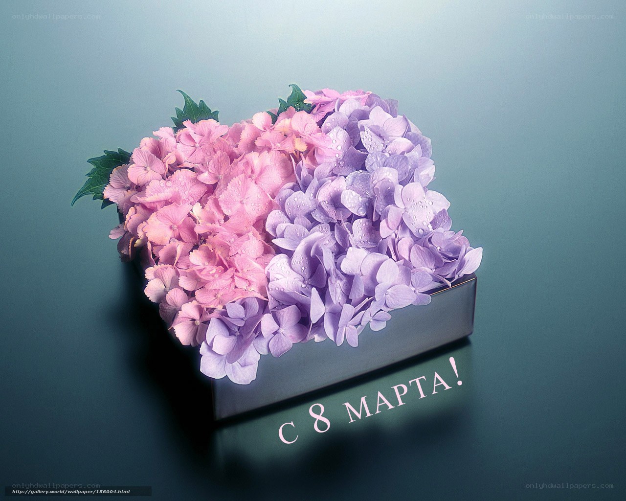 Hydrangeas in a box