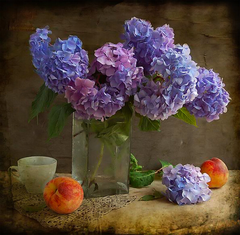 Hydrangeas in Vase