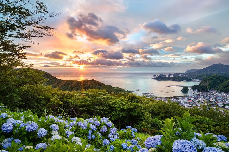 Hydrangeas Overlooking Bay — Blue