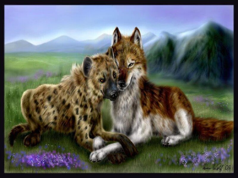Hyena and Wolf Together