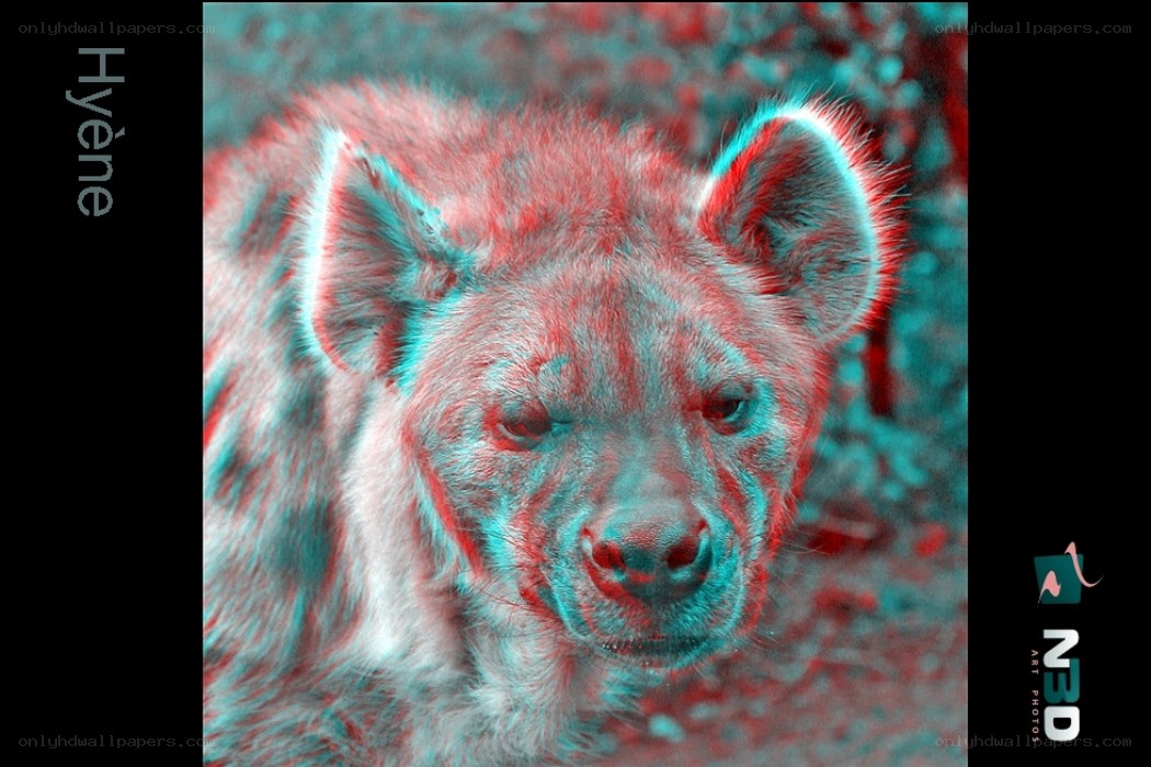 Hyena in 3D effect