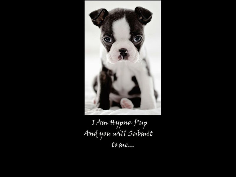 Hypno-Pup puppy