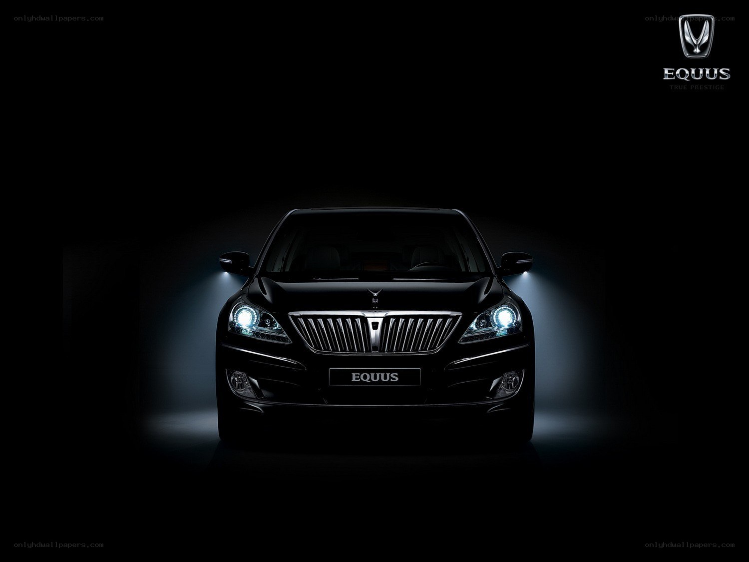 Hyundai Equus front view