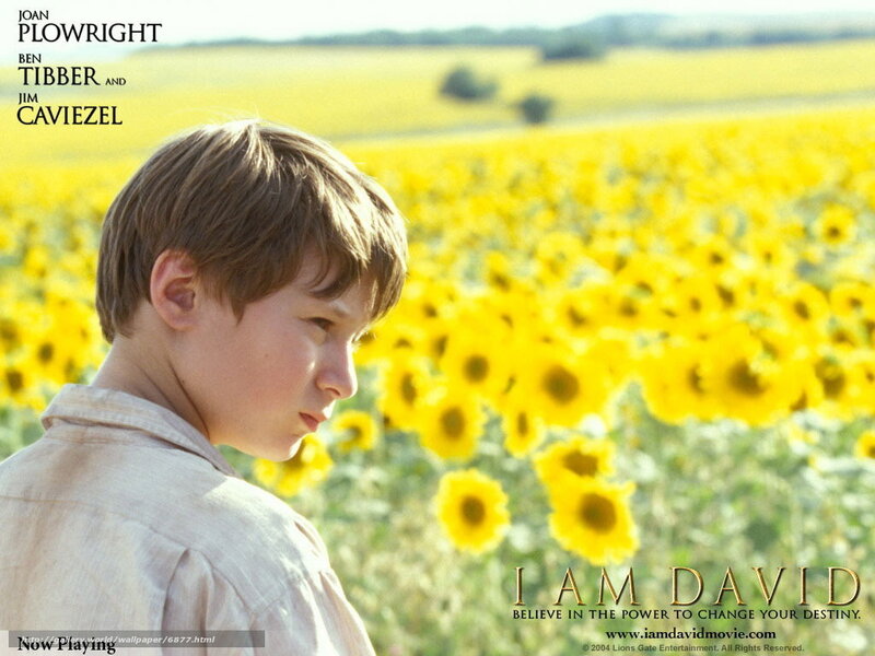 I Am David movie poster