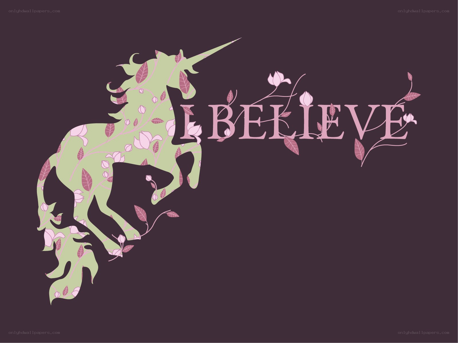 I Believe unicorn design