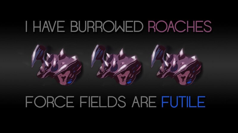 I have burrowed roaches