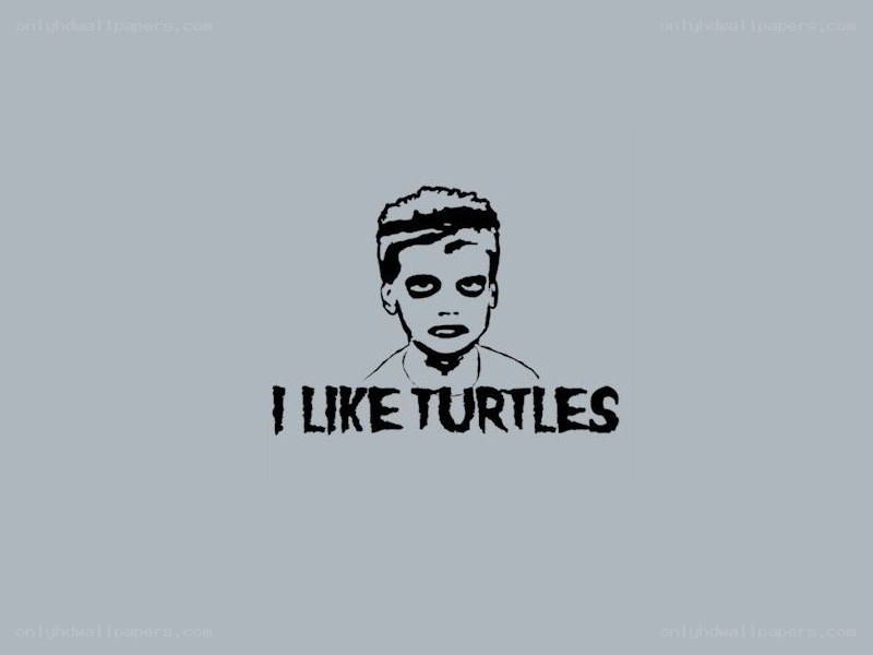 I Like Turtles sticker