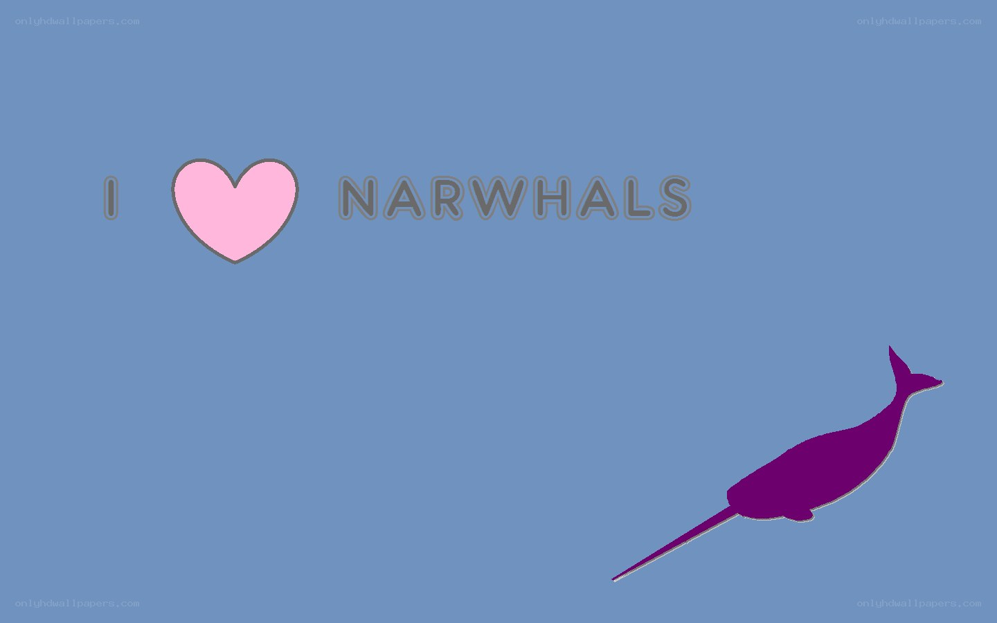 I love narwhals