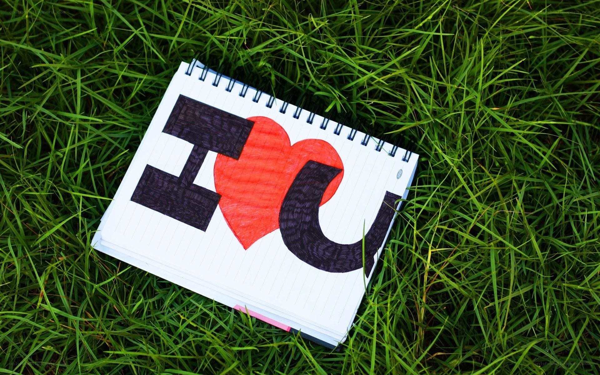 I love you drawing on grass