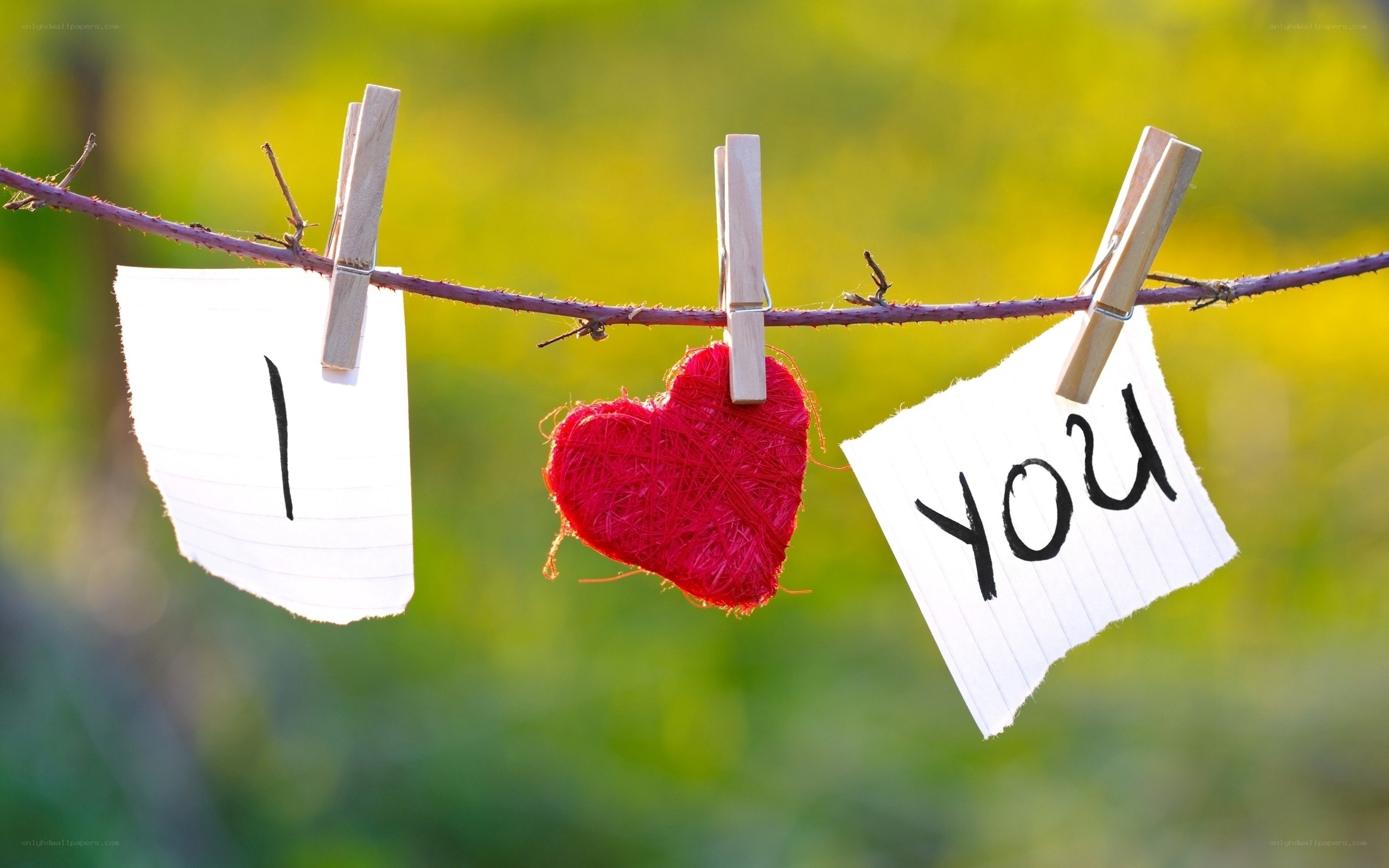 I love you message on clothesline