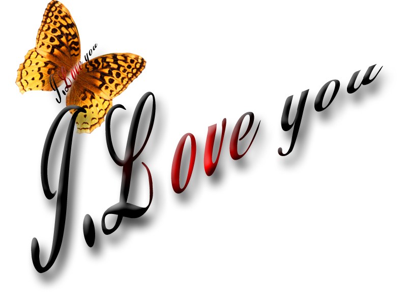 I Love You with butterfly