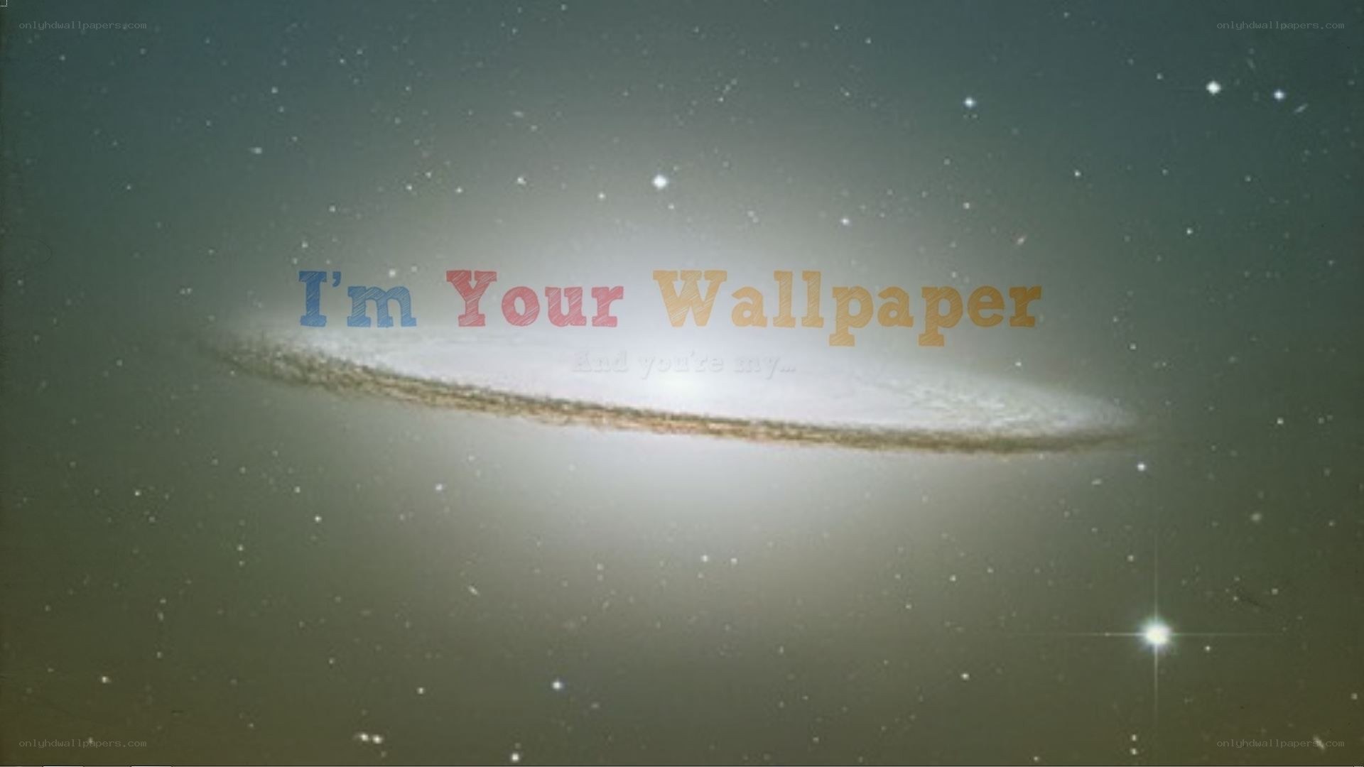 I'm Your Wallpaper