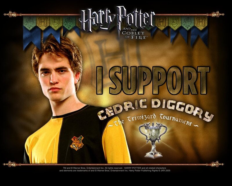 I Support Cedric Diggory