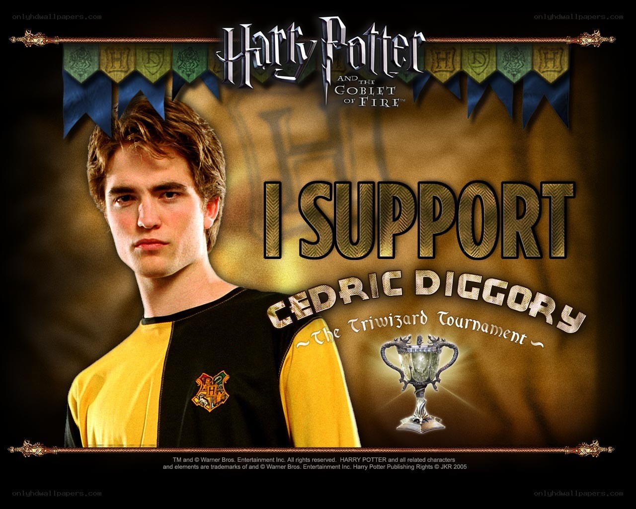 I Support Cedric Diggory