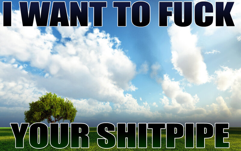 I want to fuck your shitpipe