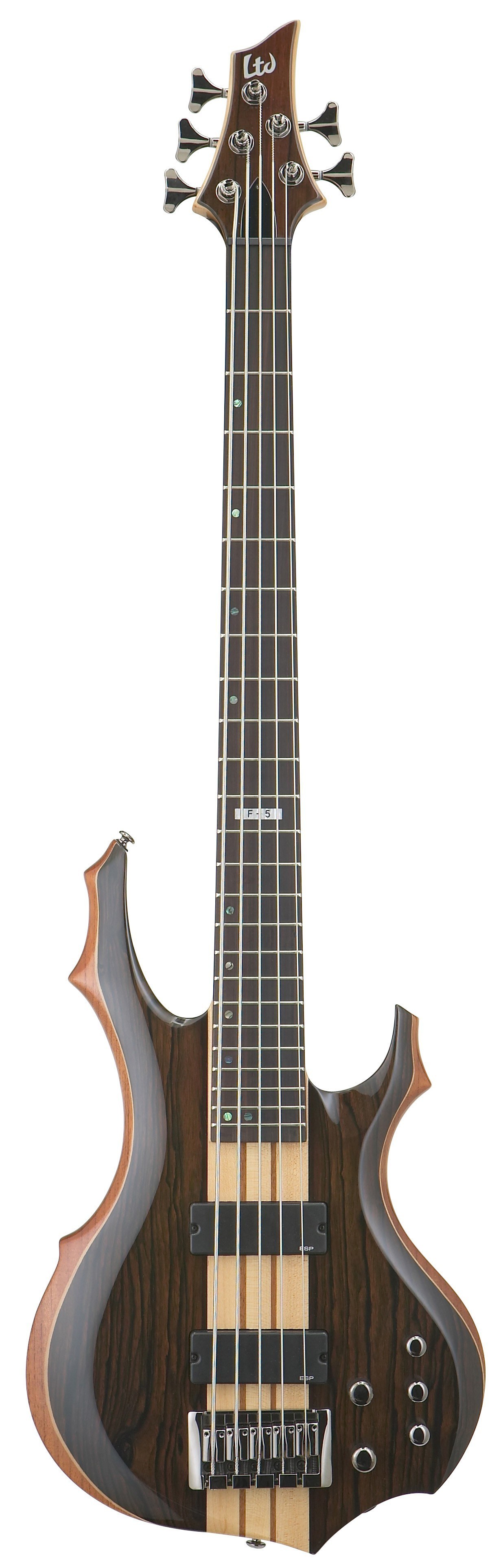Ibanez FSR5 bass guitar