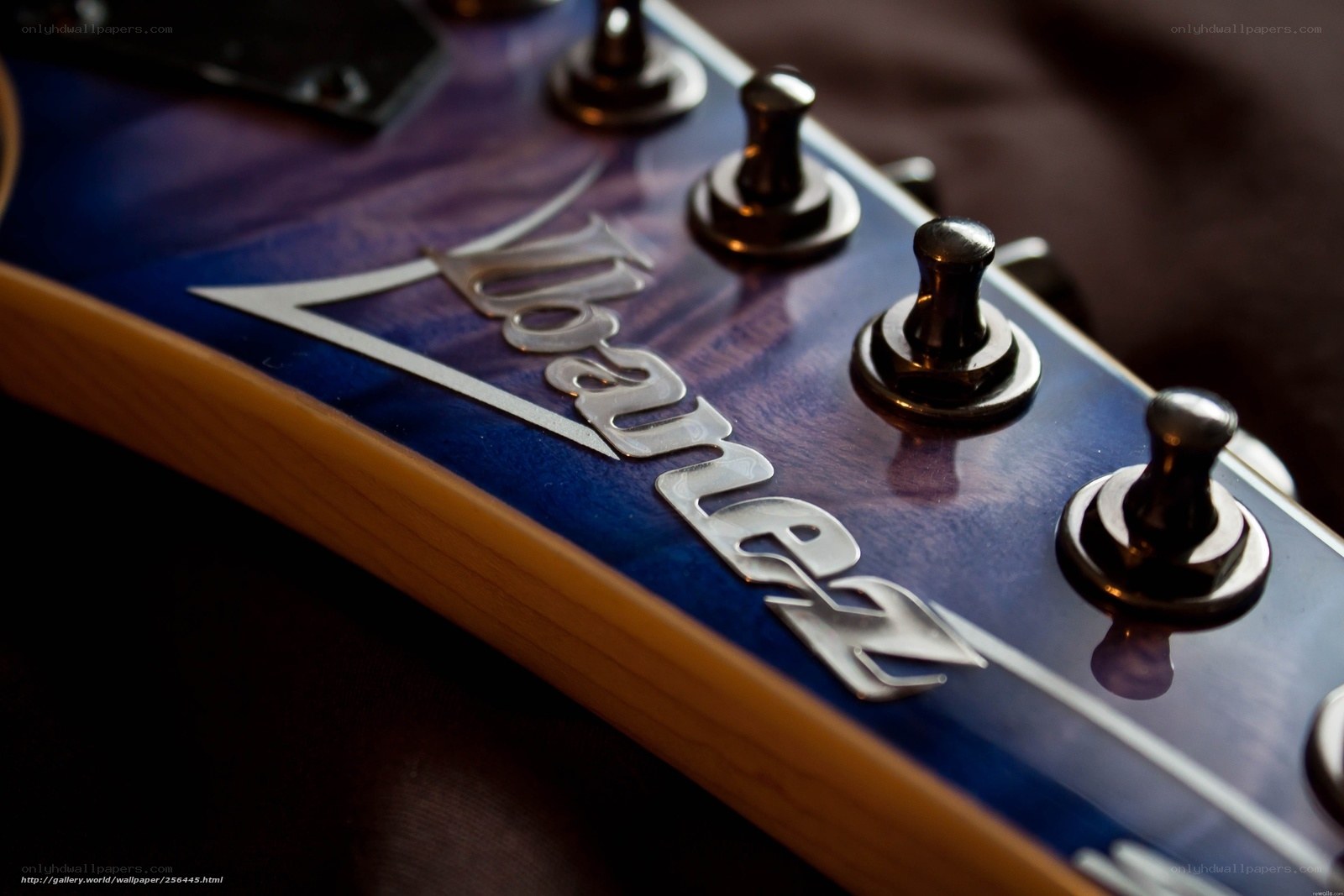 Ibanez guitar headstock close-up