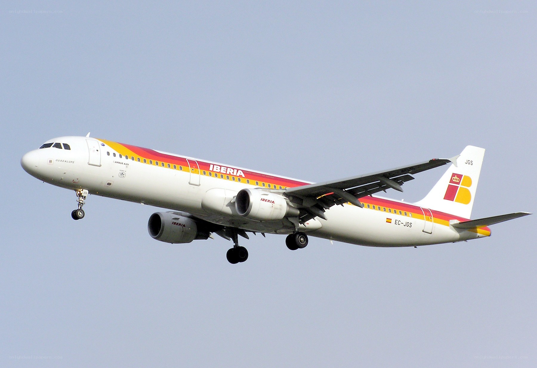 Iberia Airbus A321 in flight