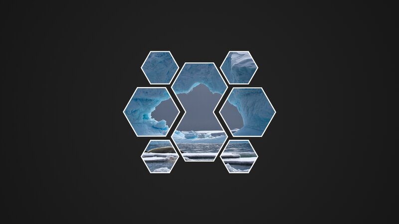 Ice Arch and Seal