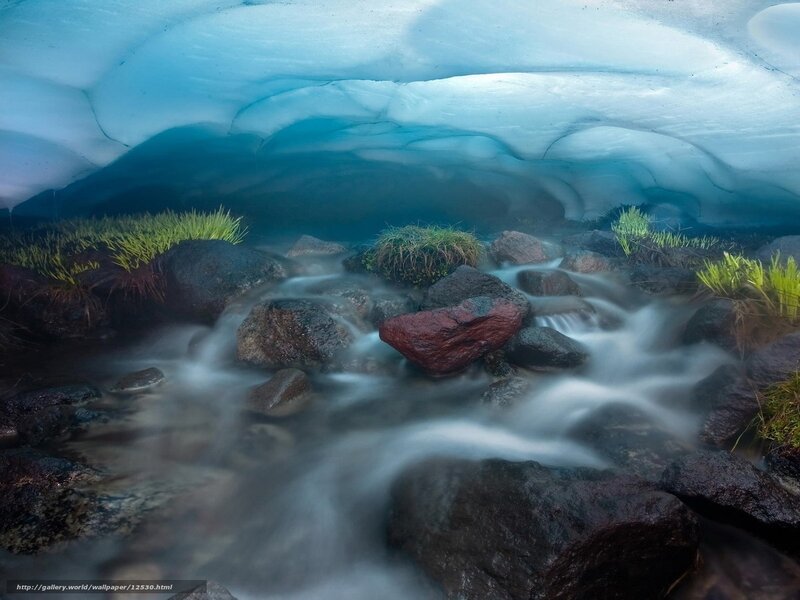Ice cave stream with greenery