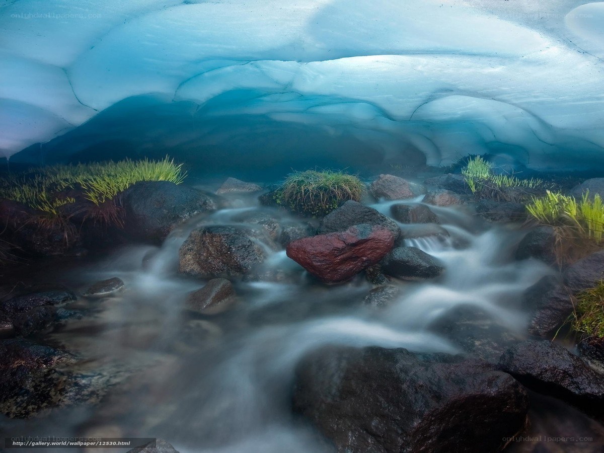 Ice cave stream with greenery