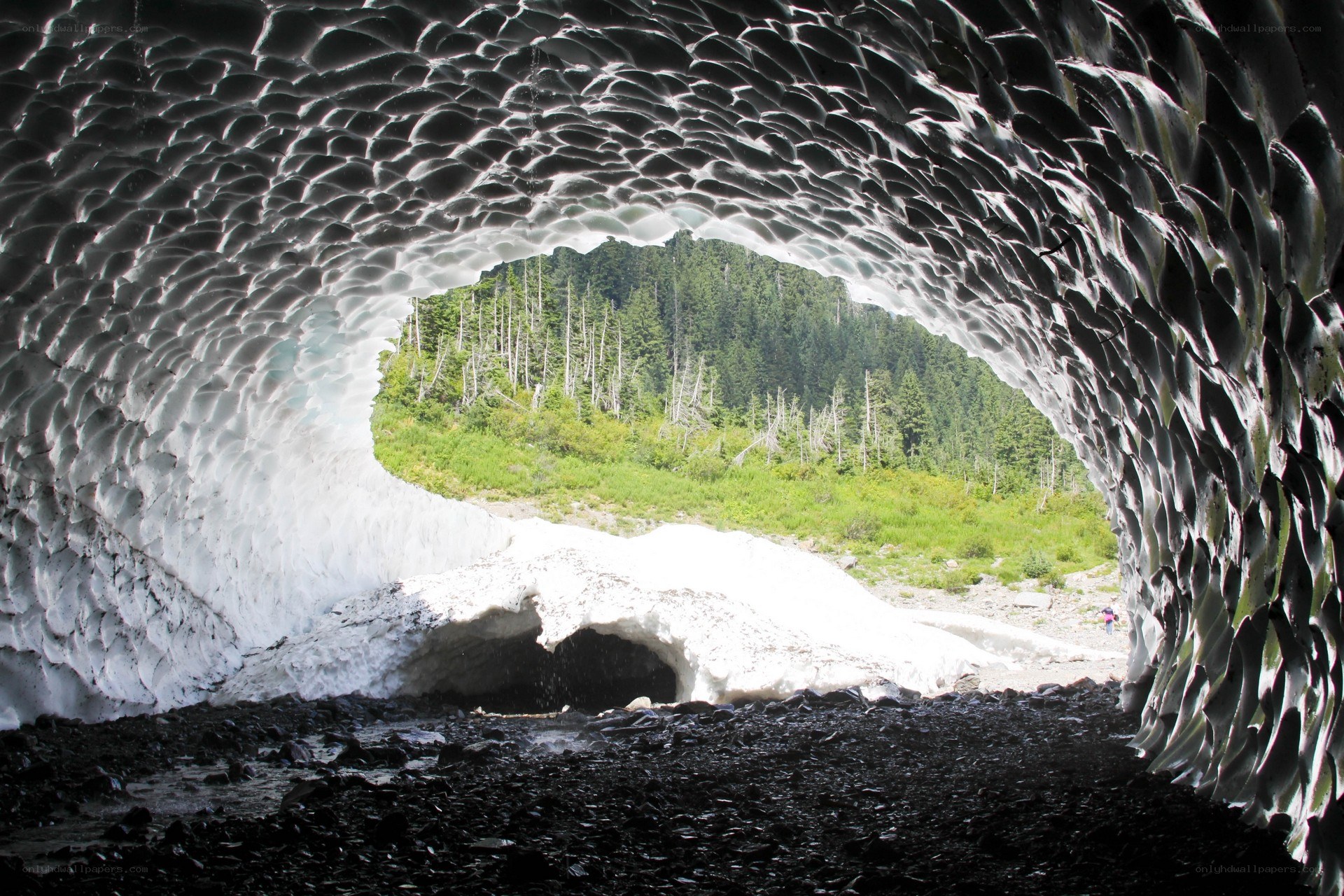 Ice cave with forest view